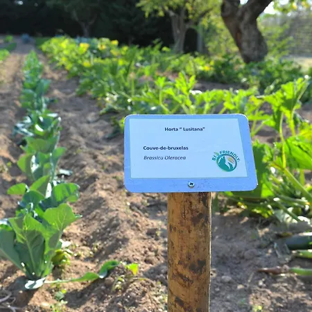 Lusitania Congress & Guarda