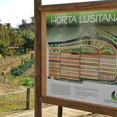 Lusitania Congress & Otel Guarda