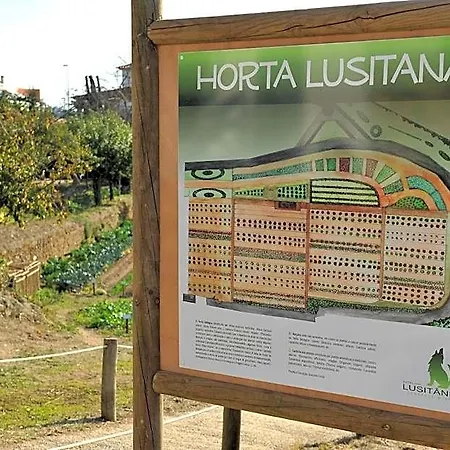 Hotel Lusitania Congress &