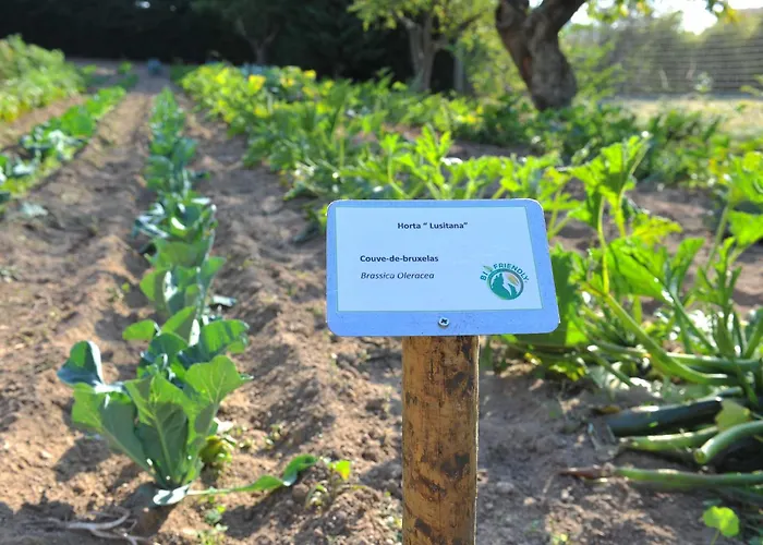 Lusitania Congress & Guarda